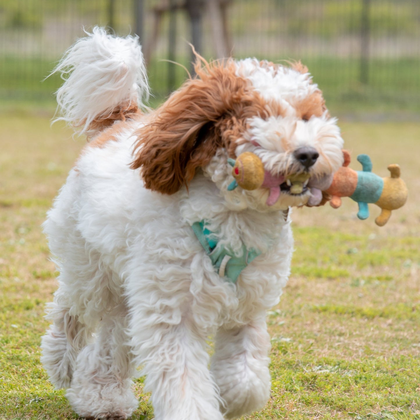 土日祝貸切プラン(10am - 4pm)(6時間パック)