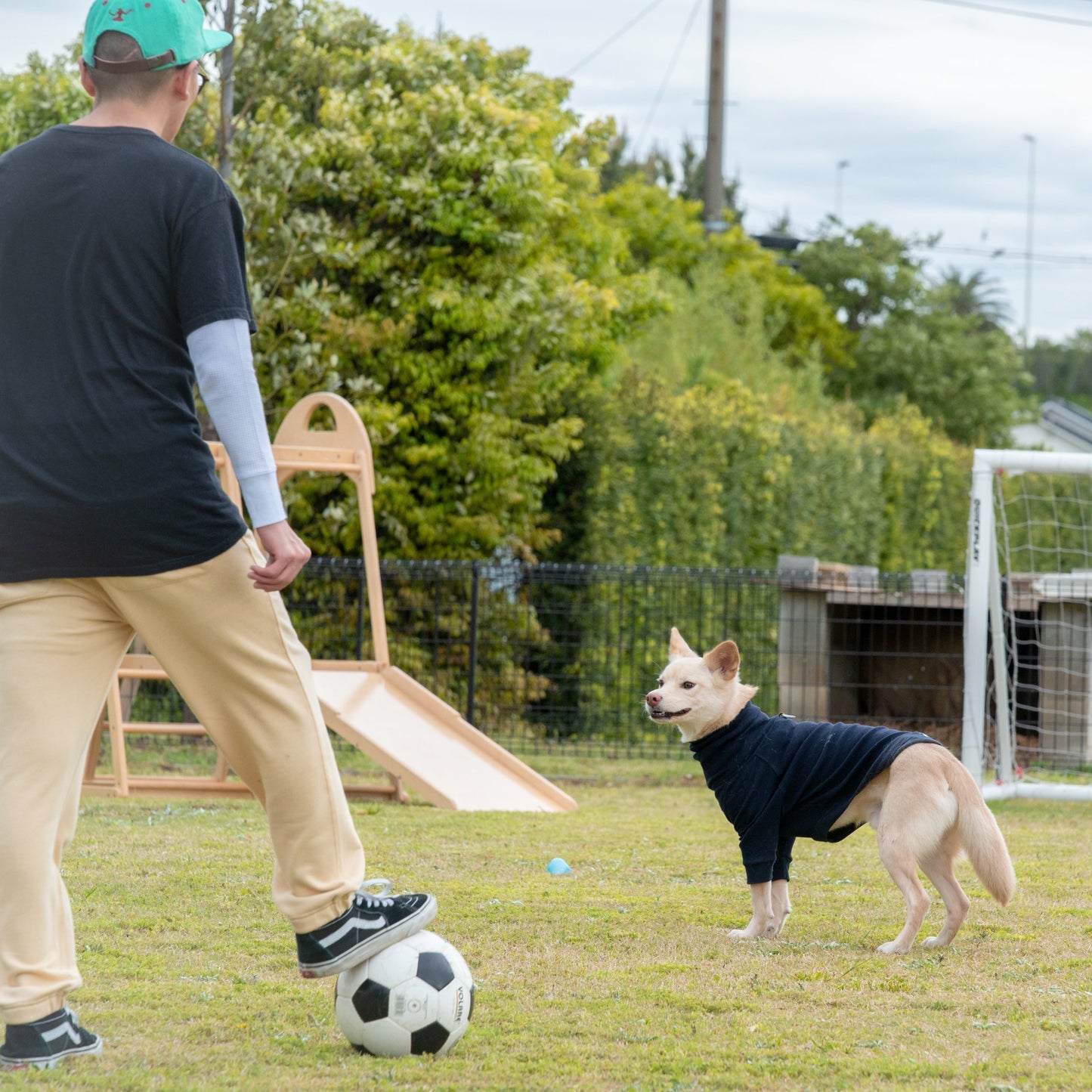 平日貸切プラン(10am - 4pm)(6時間パック)