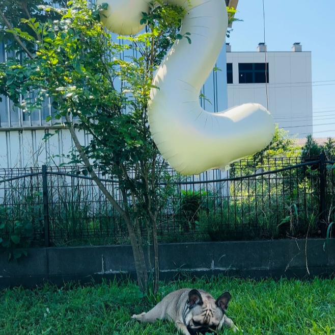 バースデーフォトスポット(有料)