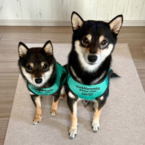 【12/13(土)】しばDay（10:30-14:30）【コインパーキング】