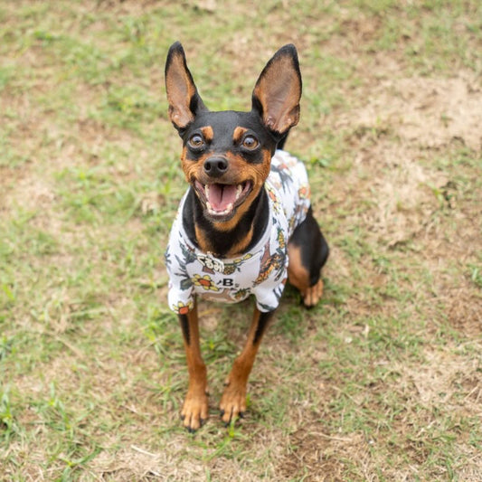 【1/18(日)】ミニピンDay（10:30-14:30）【コインパーキング】